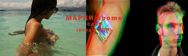 прущие грибы Баксан