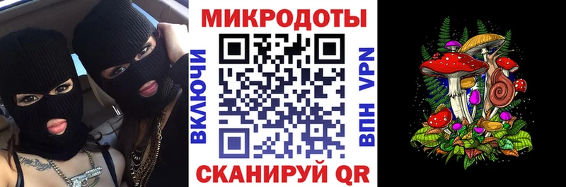 Псилоцибиновые грибы Psilocybine cubensis  Мариинск 